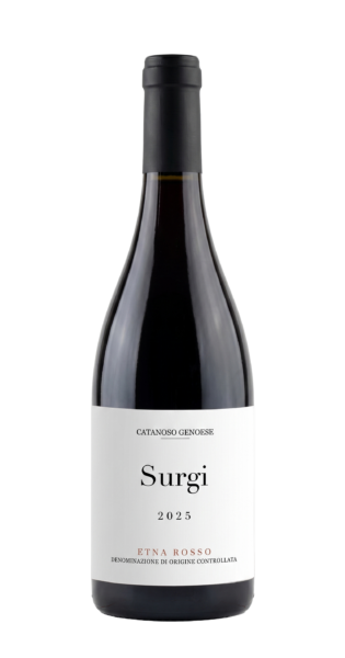2025 Surgi