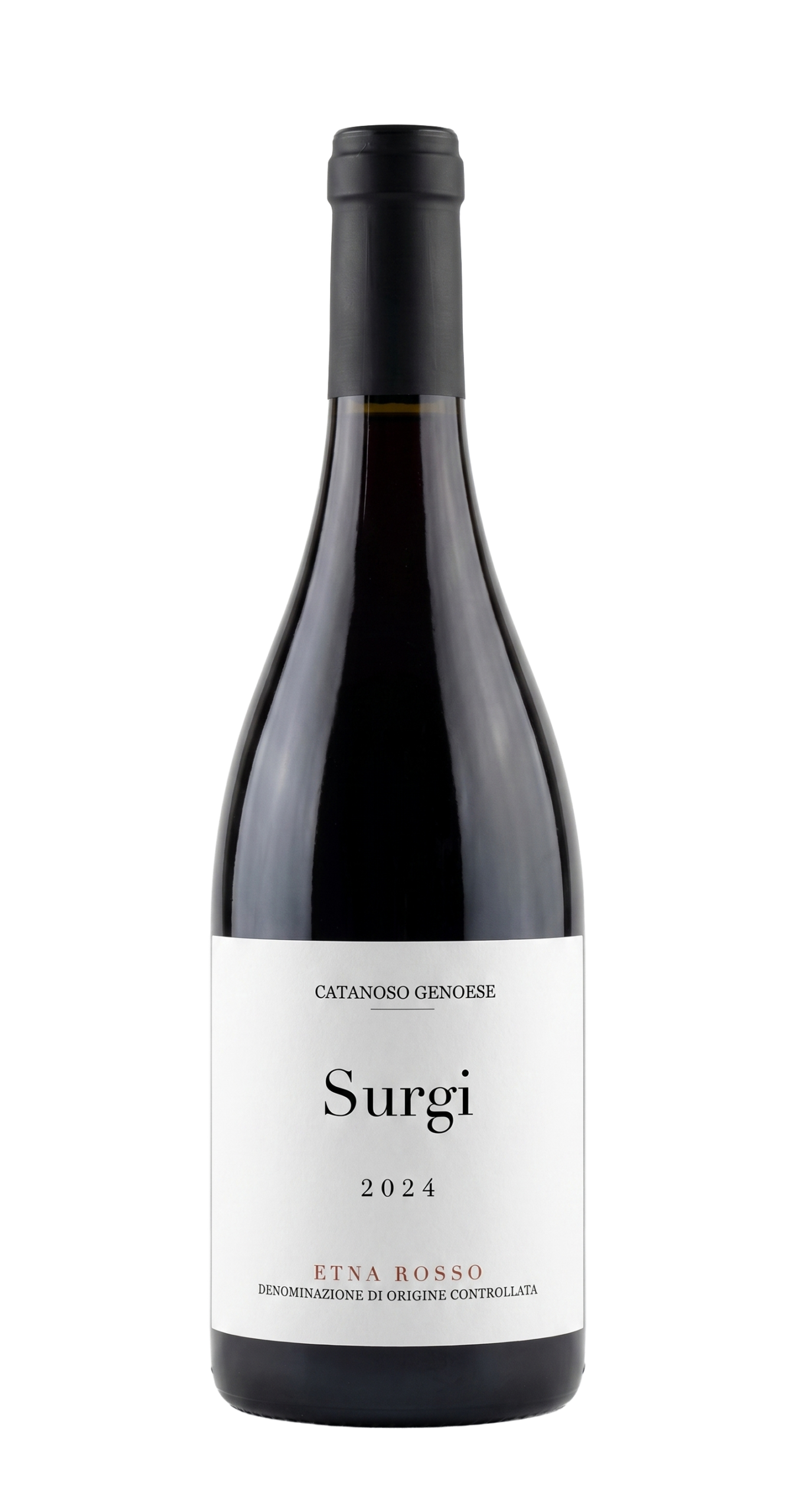 2024 Surgi