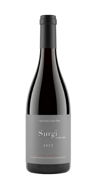 2025 Surgi in tonneau