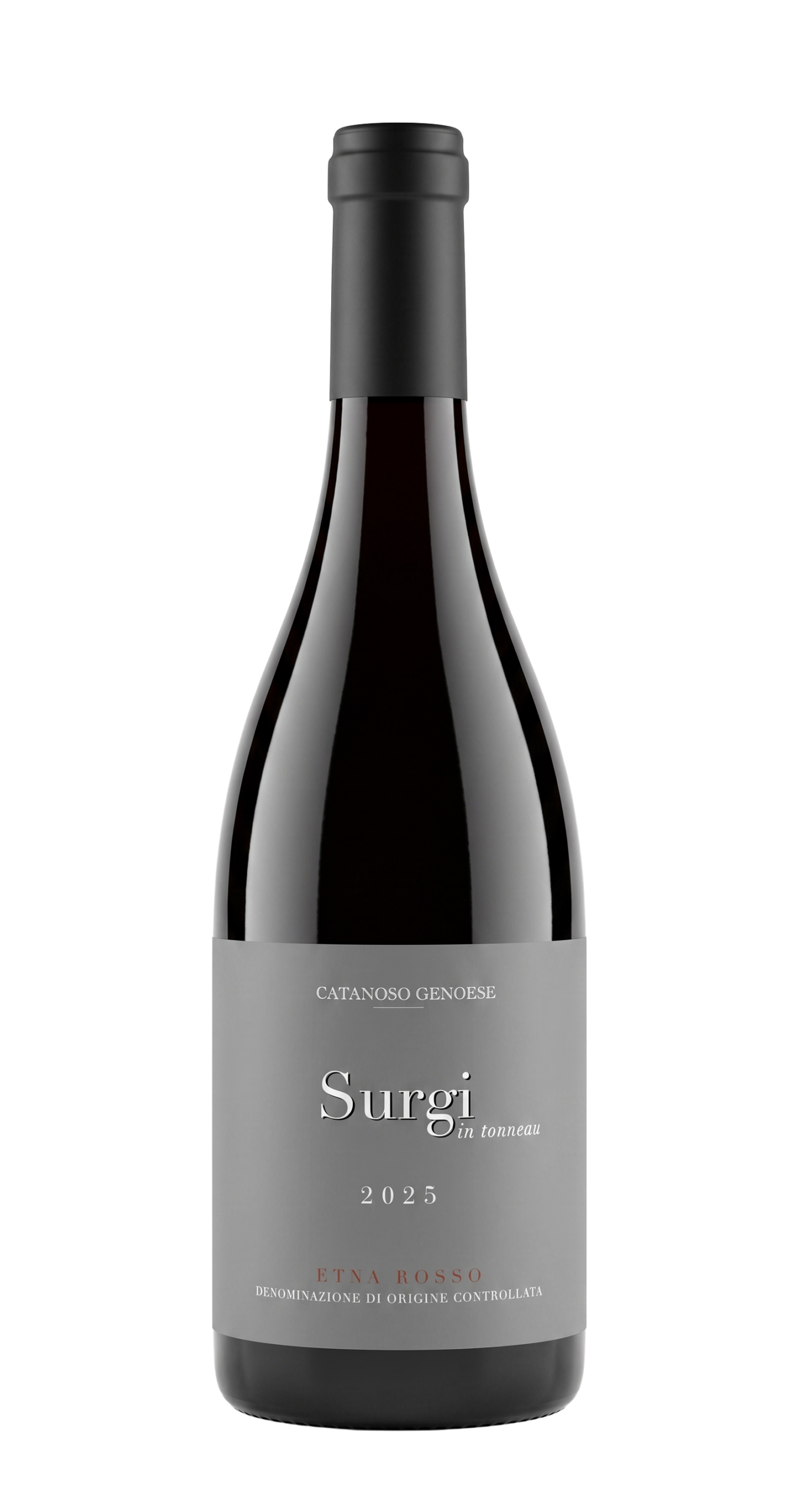 2025 Surgi in tonneau